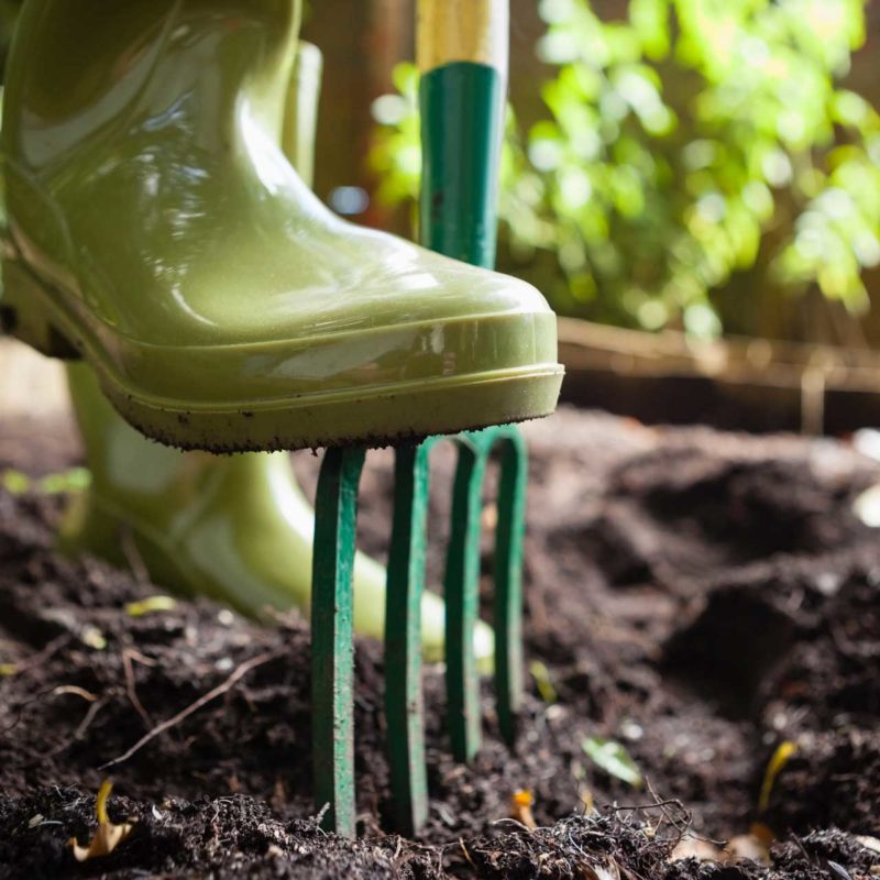 Entretien d&#8217;espaces verts dans les environs de Strasbourg et Haguenau Strasbourg 2