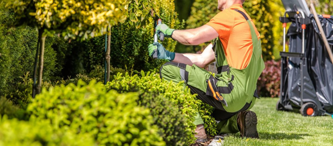 Quelles sont les étapes de création d&#8217;un jardin personnalisé ? Lingolsheim 2