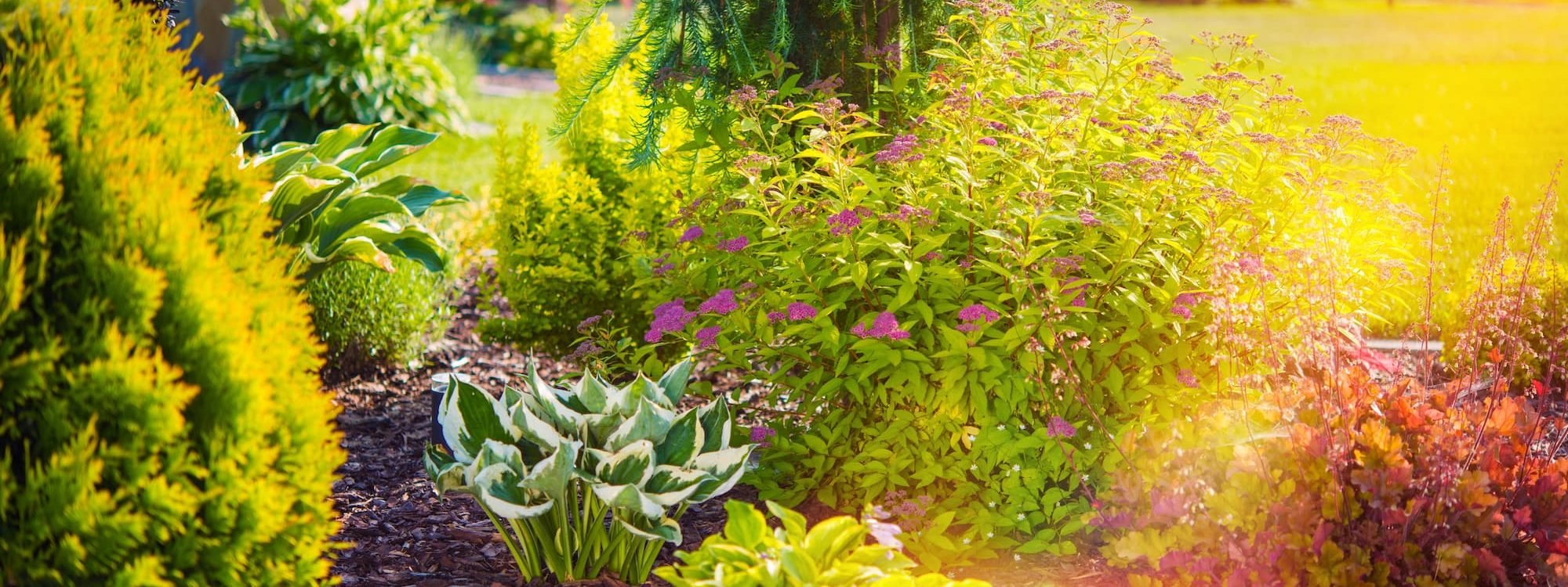 Comment réaliser un état des lieux de son jardin ? Hœœnheim