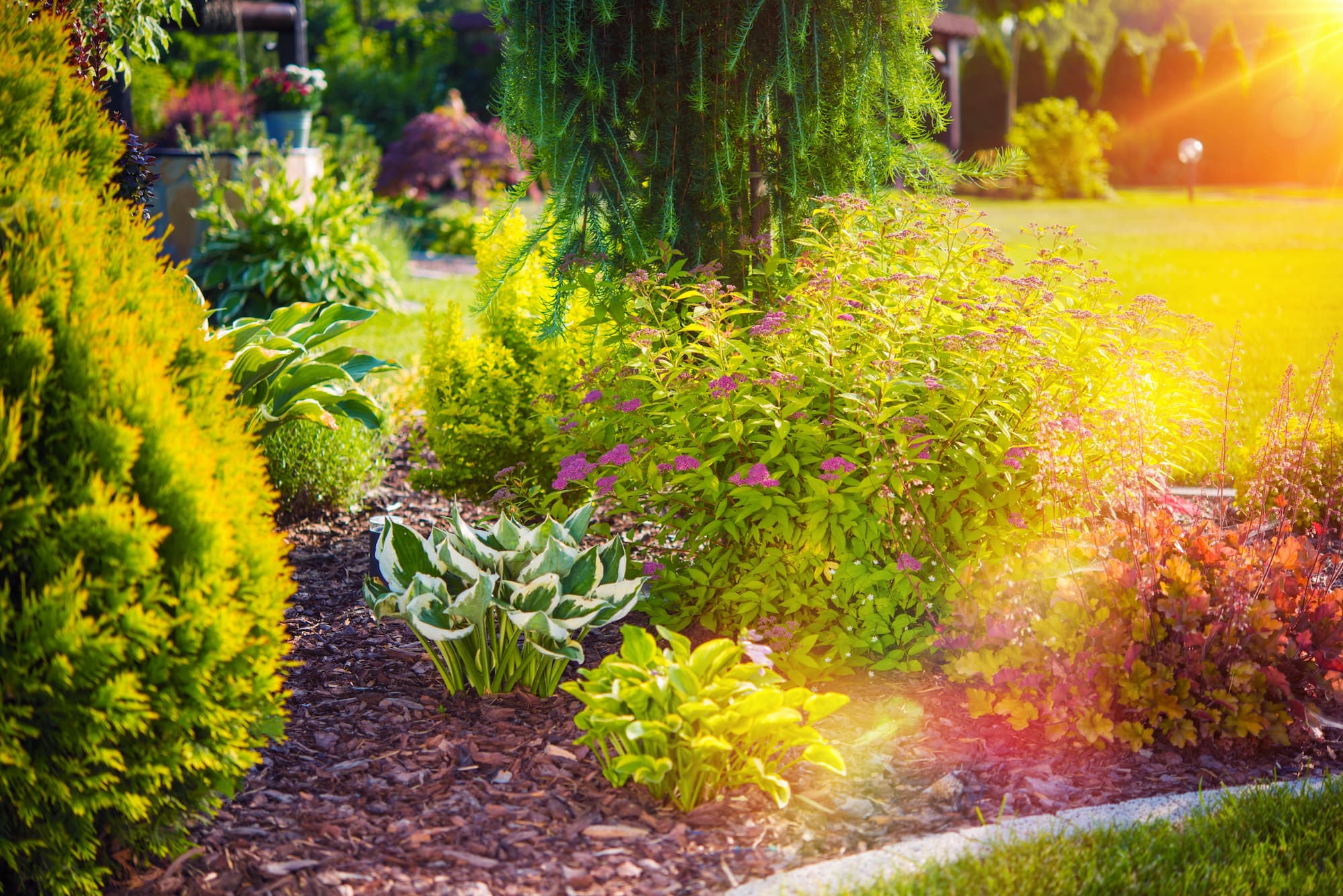 Comment réaliser un état des lieux de son jardin ? Hœœnheim