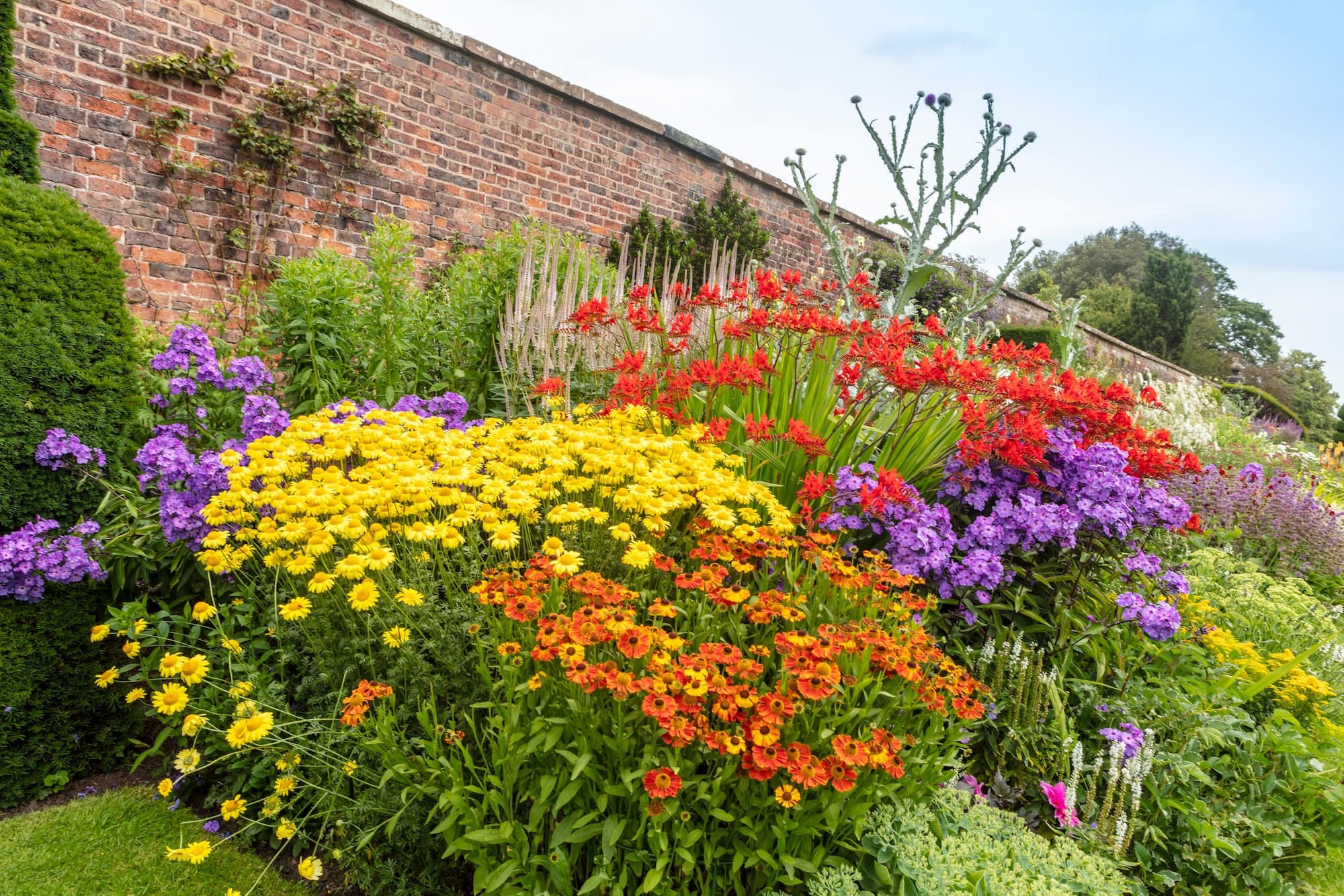 Quelles vivaces planter pour un massif ? Saverne 1
