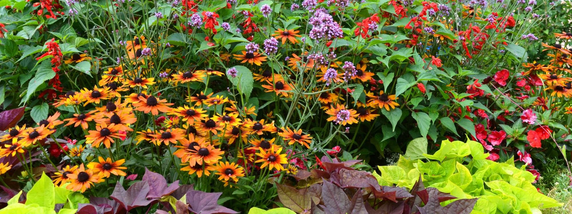 Quels sont les avantages de faire appel à un paysagiste pour un jardin personnalisé ? Bischwiller