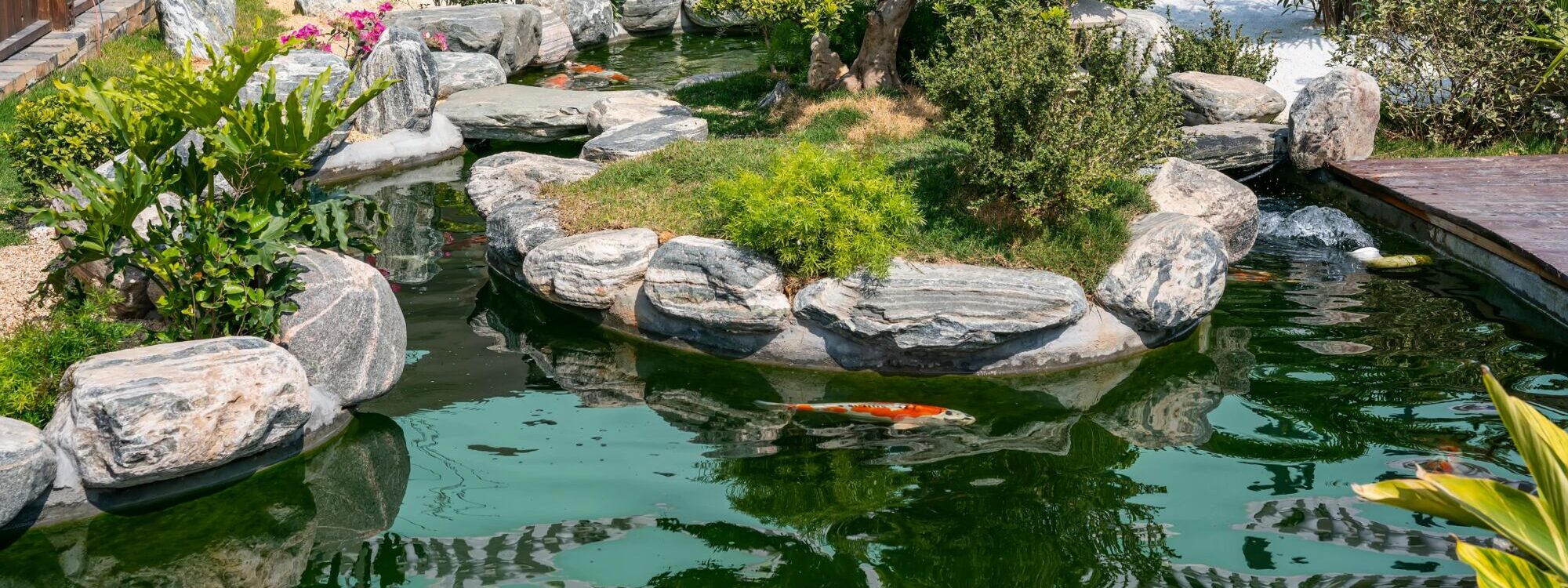 Comment choisir la taille de son bassin ? Saverne