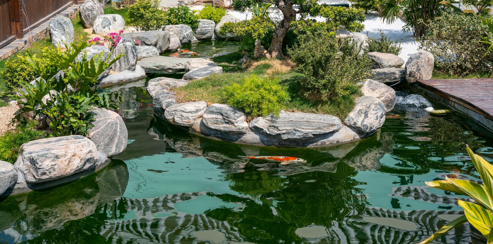 Comment choisir la taille de son bassin ? Saverne