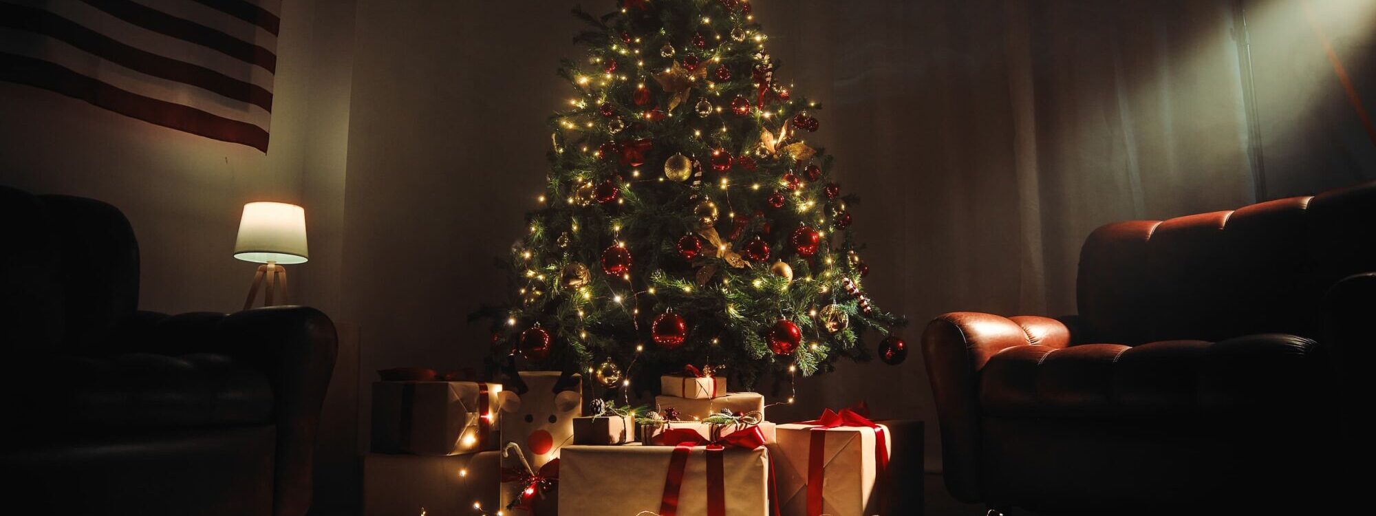 Comment recycler un sapin de Noël après les fêtes ? Saverne