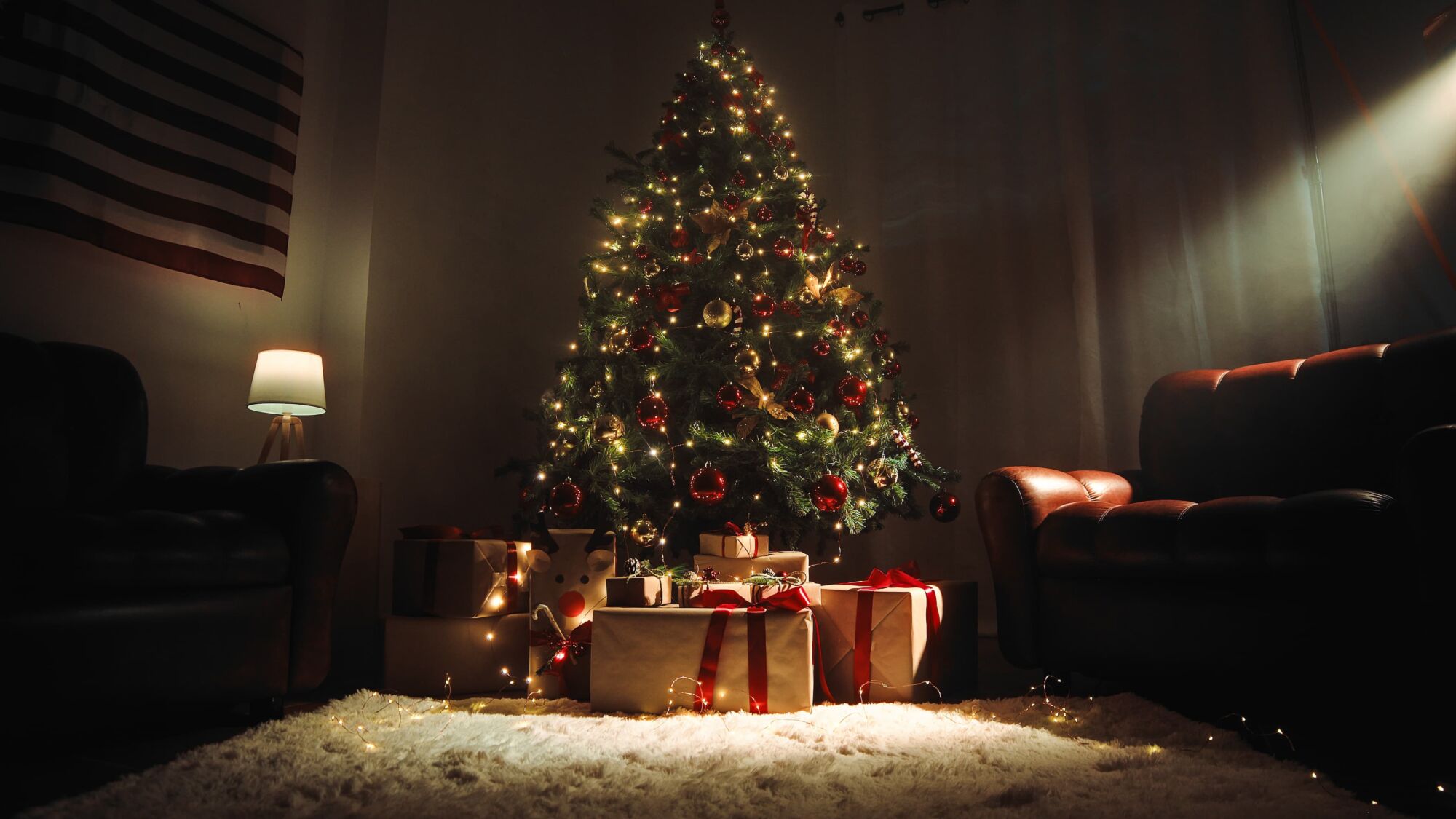 Comment recycler un sapin de Noël après les fêtes ? Saverne