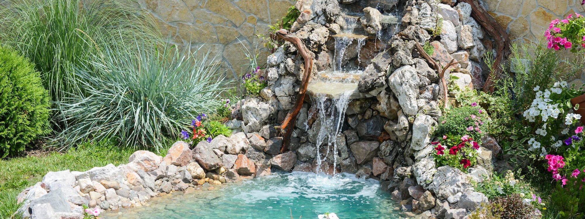 Quel style de bassin choisir pour son jardin ? Schiltigheim